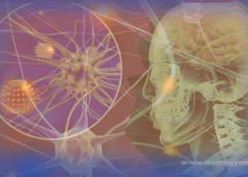 effect of covid-19 on human brain