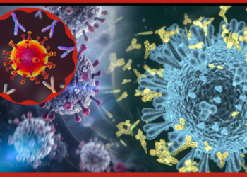 covid-19-antibodies-last-9-months-after-infection