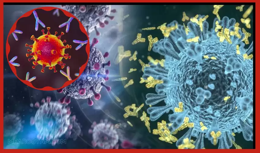 covid-19-antibodies-last-9-months-after-infection