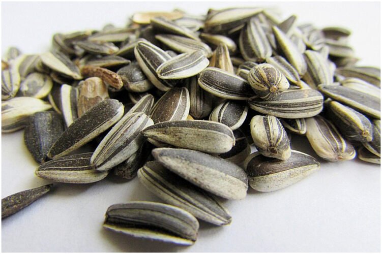 Sunflower Seeds for diabetes