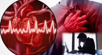 Work Stress : పనిఒత్తిడితోనే గుండెపోటు.. మీకు ఈ లక్షణాలున్నాయా? తస్మాత్ జాగ్రత్త..