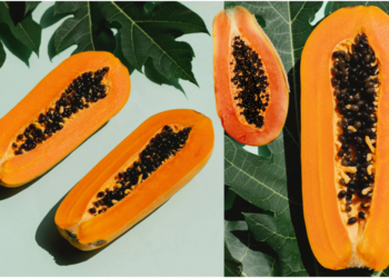 Papaya Health Benefits