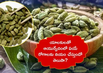 cardamom-uses-cure-diseases-in-ayurveda