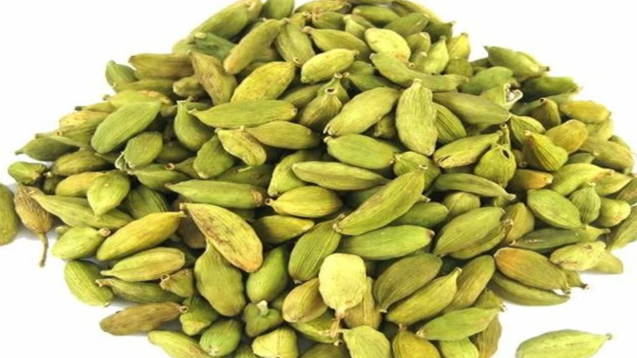 cardamom-uses-cure-diseases-in-ayurveda