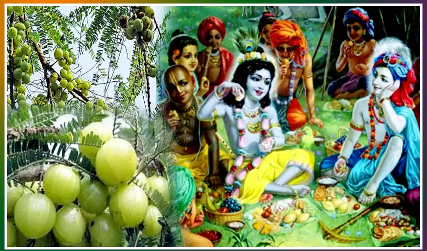 Karthika Masam 2021 : Importance of Karthika Vanabhojanalu in Amla Tree