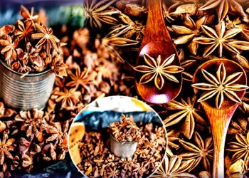 Star-Anise-Health-Benefits-