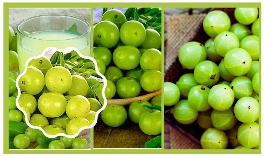 Amla Juice Benefits Amla Juice Health Benefits for Good Healthy Drink, You Must Know these Things