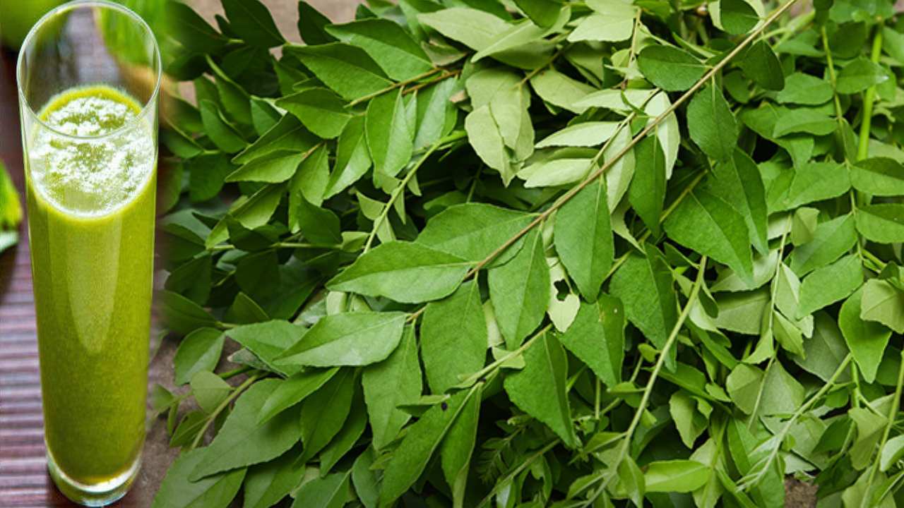 Curry Leaves Juice Benefits _ Curry Leaves Juice Can BP Control, Must be added in Food