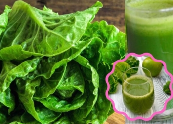 Lettuce Juice benefits Lettuce Juice Health benefits, You Must Know These Facts