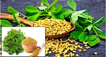 Fenugreek Benefits : మెంతికూరతో ఎన్ని ఆరోగ్య ప్రయోజనాలో.. ఈ సమస్యలు ఉన్నవారు తప్పక తినాల్సిందే..!