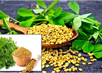 fenugreek-benefits-good-for-your-brain-function-with-methi-seeds