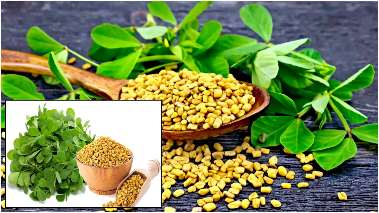 fenugreek-benefits-good-for-your-brain-function-with-methi-seeds