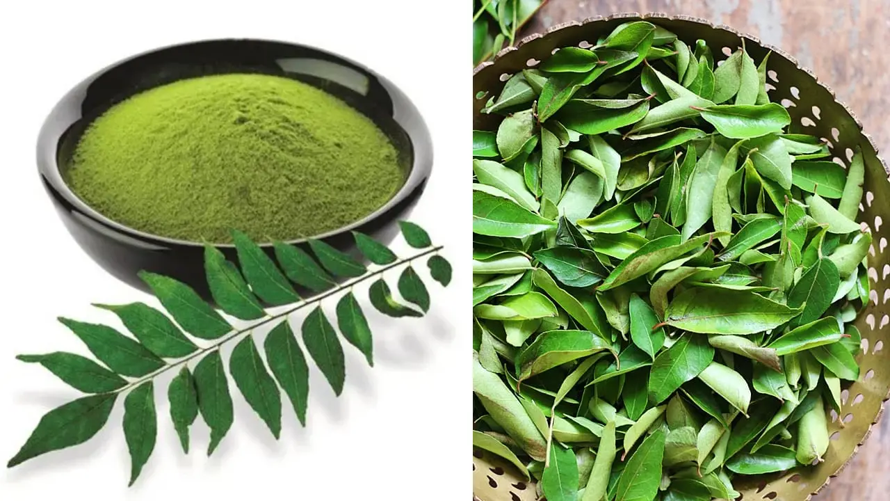 curry-leaves-could-help-your-body-lower-cholesterol-and-blood-sugar