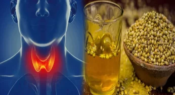 Coriander Kashayam : ధనియాల కషాయంతో థైరాయిడ్ సమస్యలకు ఇలా చెక్ పెట్టొచ్చు! 