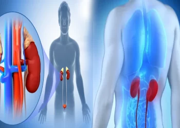 how to identify kidney problems in telugu