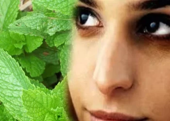 Mint Leaves : How To Remove Dark Circles By Using Mint Leaves