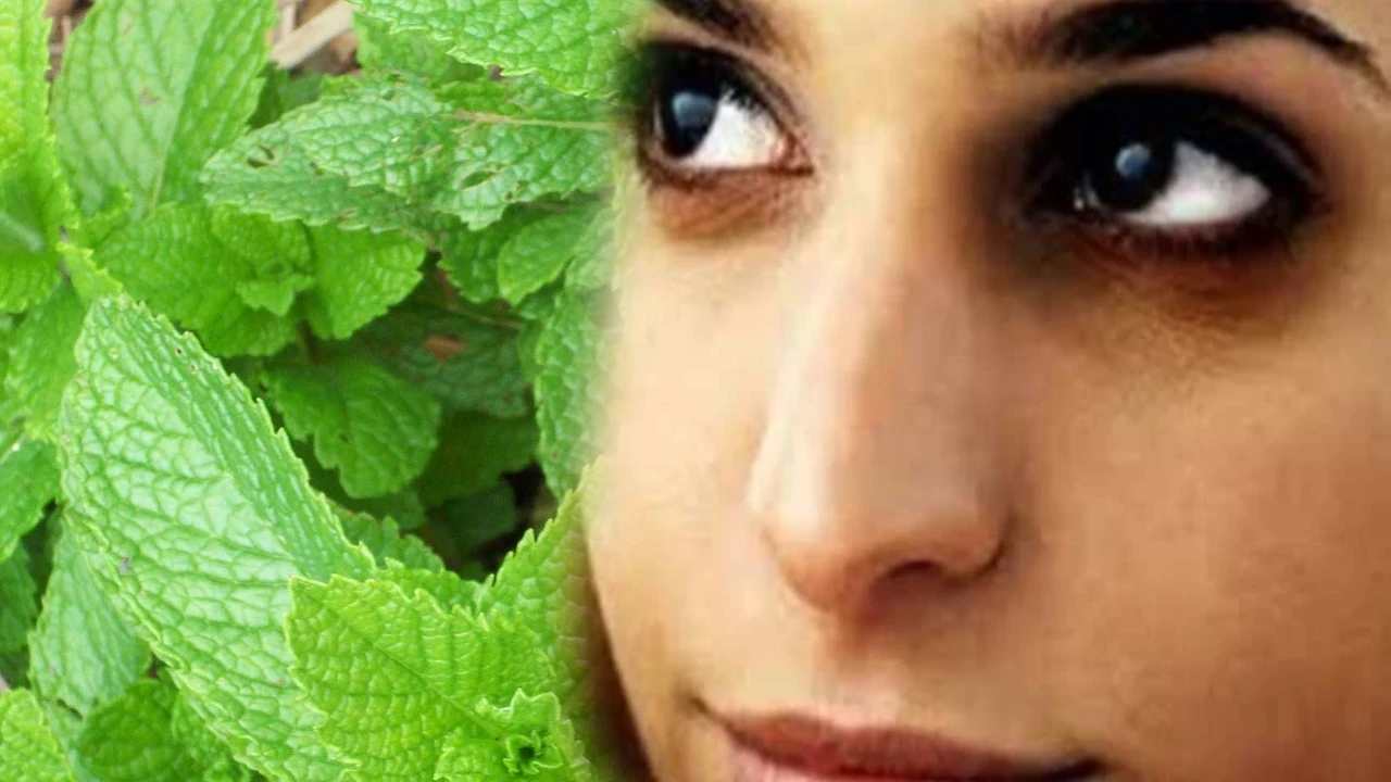 Mint Leaves : How To Remove Dark Circles By Using Mint Leaves