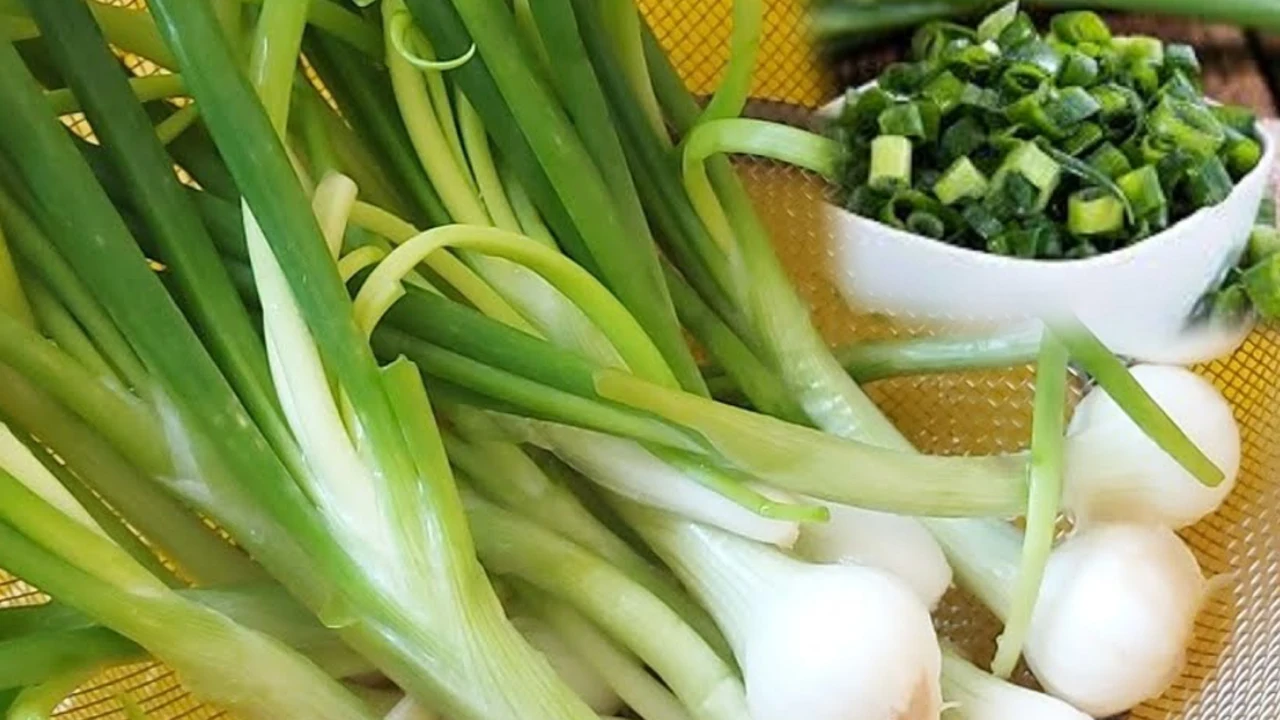 Spring Onions health benefits for cure piles in Telugu