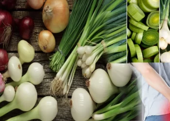 Spring Onions health benefits for cure piles in Telugu