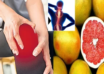 Pomelo Fruit _ what should osteoporosis Patients eat, Pomelo Fruit for bone health