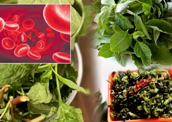 amaranth leaves health benefits for red cells in telugu