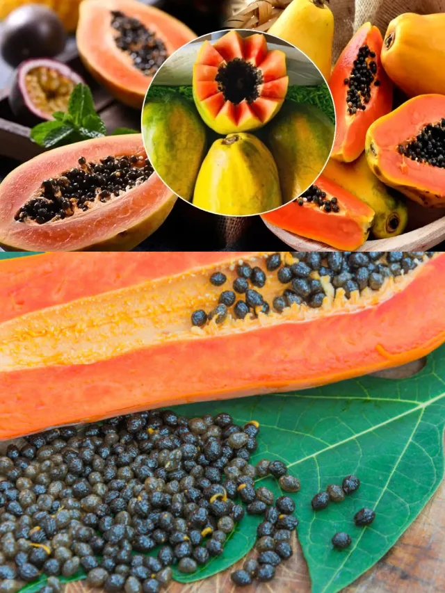 Papaya Seeds : బొప్పాయి గింజలతో అద్భుతమైన ప్రయోజనాలు..!