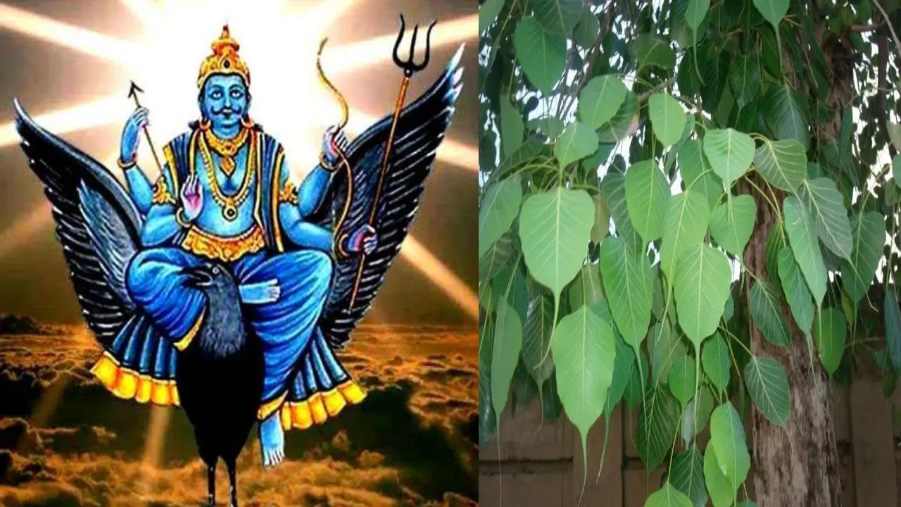 how to worship shani dev puja on saturday benefits in telugu