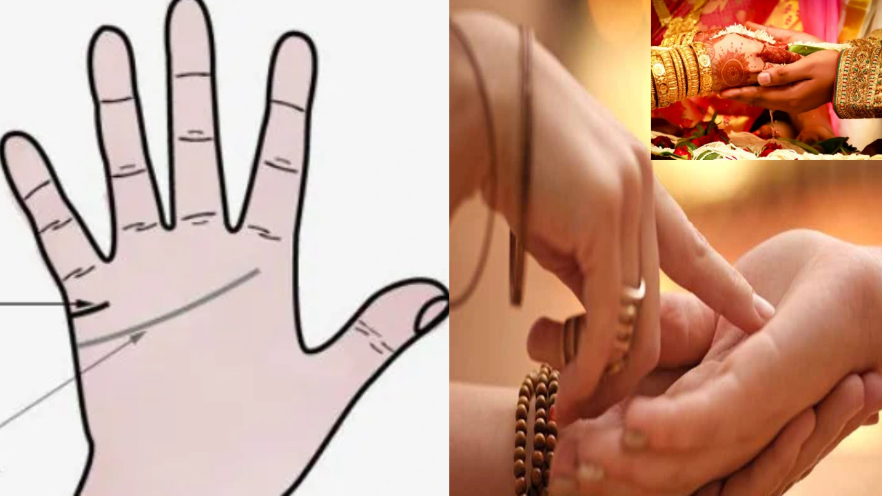 palmistry marriage lines : three marriage lines on your palm telugu
