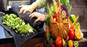 Store Fresh Vegetables : వెజిటేబుల్స్ ఫ్రెష్‌గా ఉండాలంటే.. ఈ ట్రిక్స్ ఫాలో అవ్వండి..