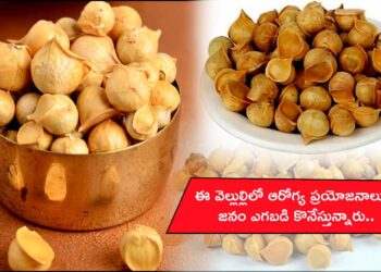 Kashmiri Garlic Health Benefits in Telugu
