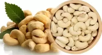 Cashew Nuts Benefits : జీడిప‌ప్పుతో ఎన్నో లాభాలో.. ఇంతకీ, ఎవ‌రు తినొచ్చు, ఎవ‌రెవరూ తిన‌కూడ‌దో తెలుసా?