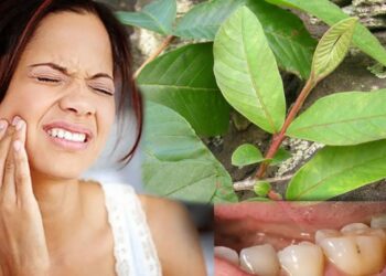 best home remedy for tooth worms in telugu
