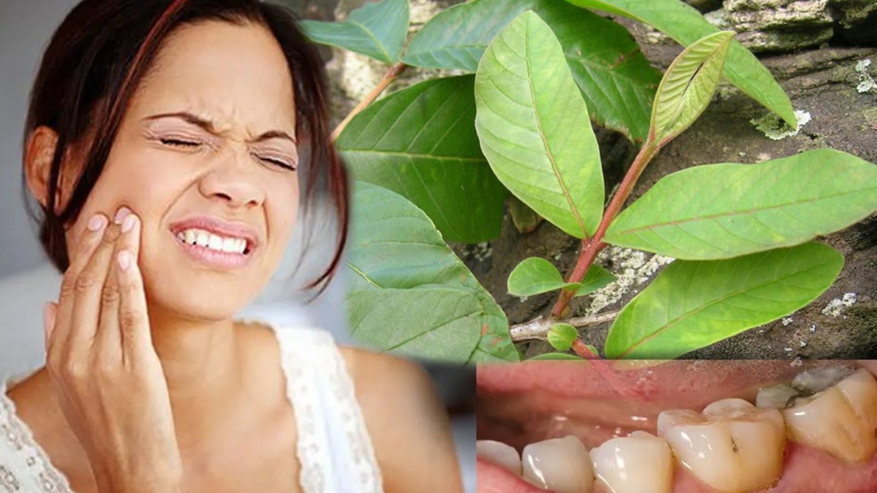 best home remedy for tooth worms in telugu