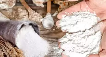 Maida Adulteration : మీ ఇంట్లో మైదాతో పిండి వంటలు చేస్తున్నారా..? ఒక్క క్షణం ఆగి.. ఇది చెక్ చేయండి!