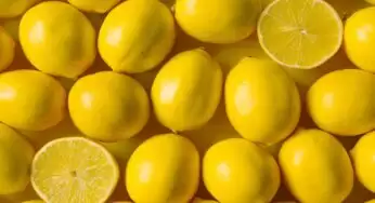 Health Benefits of Lemons : అమ్మలా కాపాడే నిమ్మలో ఎన్నో ఆరోగ్య ప్రయోజనాలో తెలుసా? ఎలాంటి రోగమైన దరిచేరదు..!