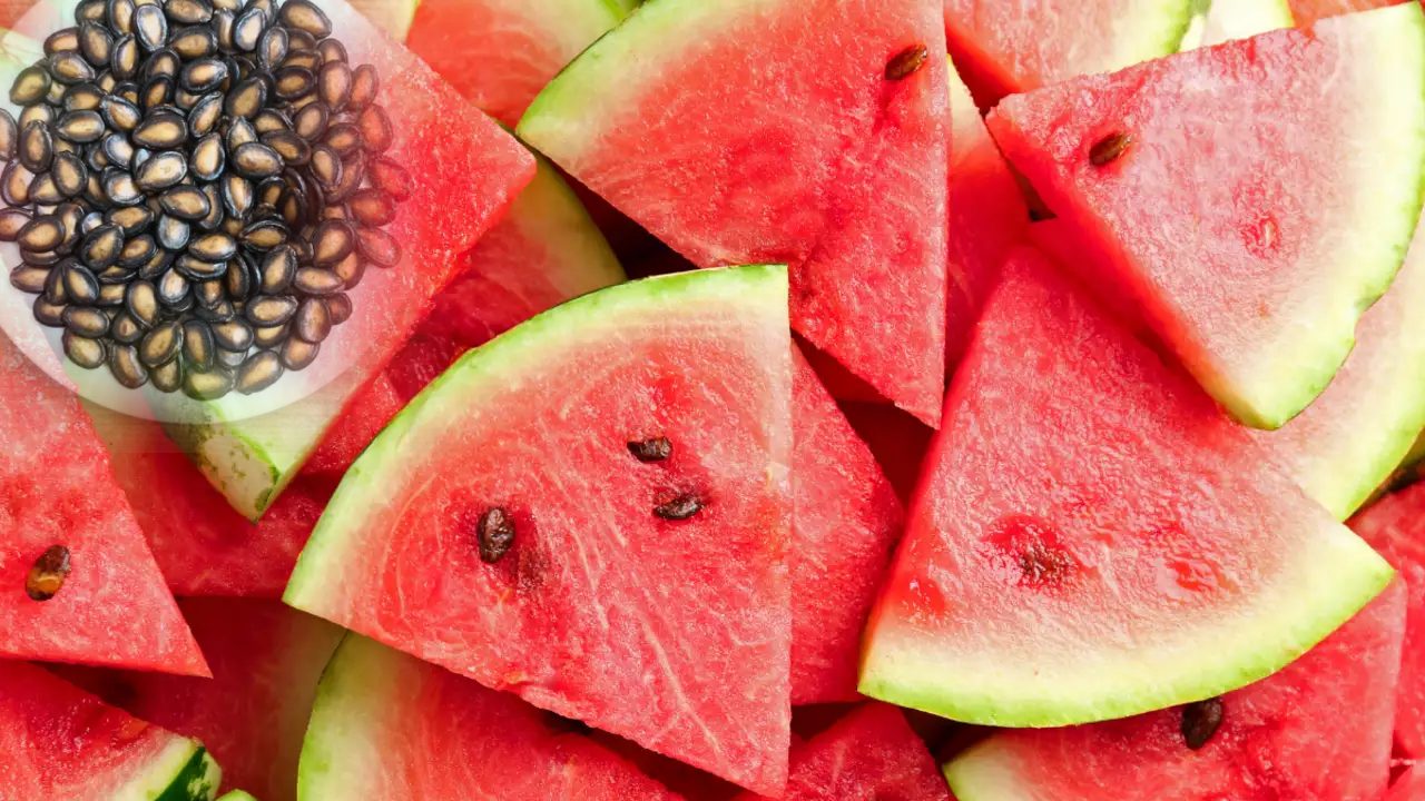 watermelon seeds health benefits in telugu