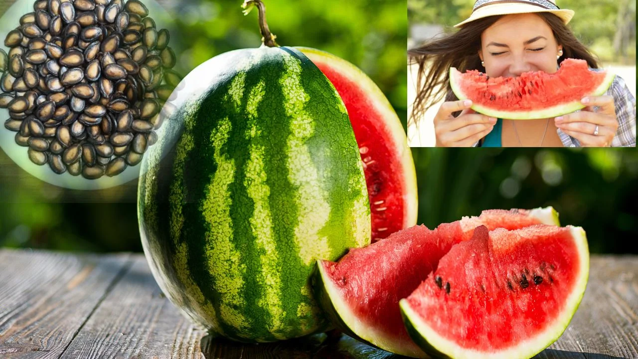 watermelon seeds health benefits in telugu