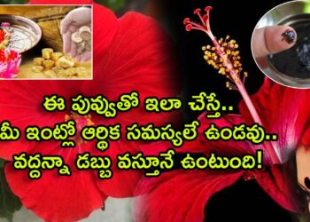 Hibiscus mascara benefits for money in telugu