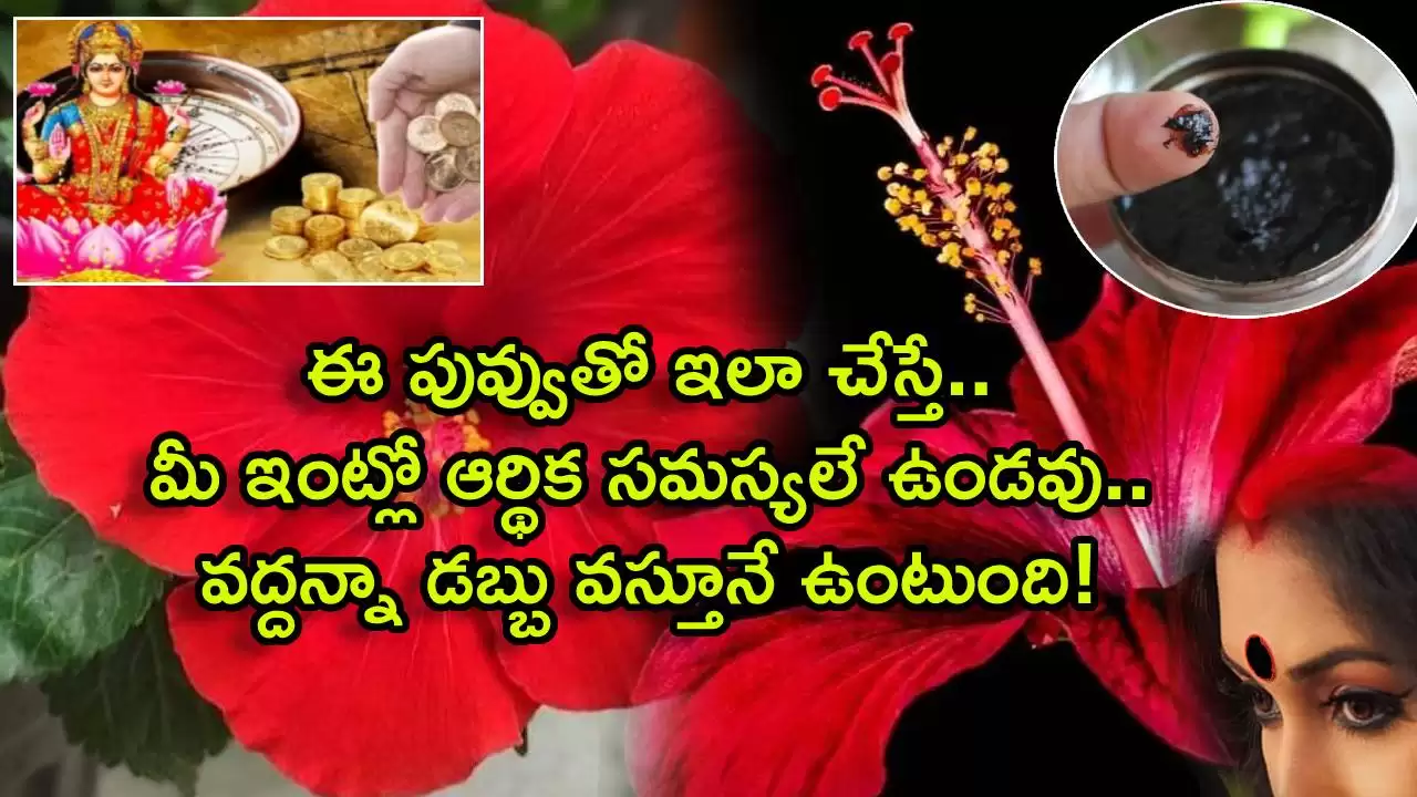 Hibiscus mascara benefits for money in telugu