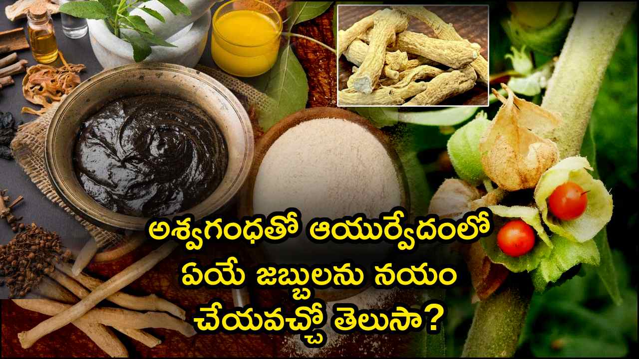 ashwagandha health benefits in telugu