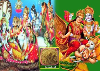 Pelala Pindi Importance in Tholi Ekadasi in telugu