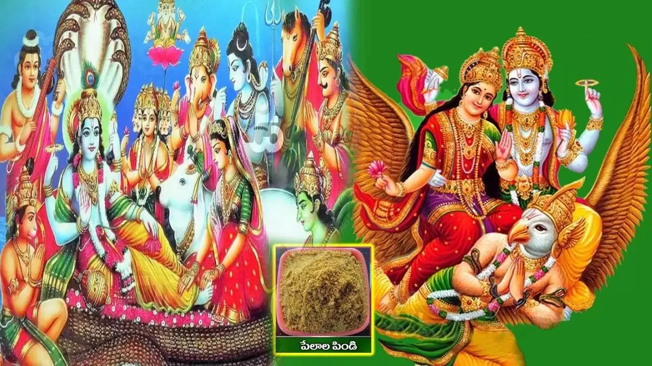 Pelala Pindi Importance in Tholi Ekadasi in telugu