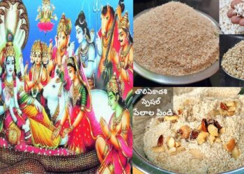 tholi ekadasi pooja vidhanam in telugu