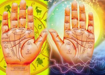 Palmistry Money line in Telugu