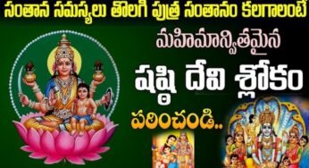 Shasti Devi : శుక్రవారం నాడు ఇలా చేసి ఈ మంత్రాన్ని జపిస్తే షష్ఠి దేవి అనుగ్రహంతో శారీర, సంతాన పరంగా సుకంగా ఉంటారు..