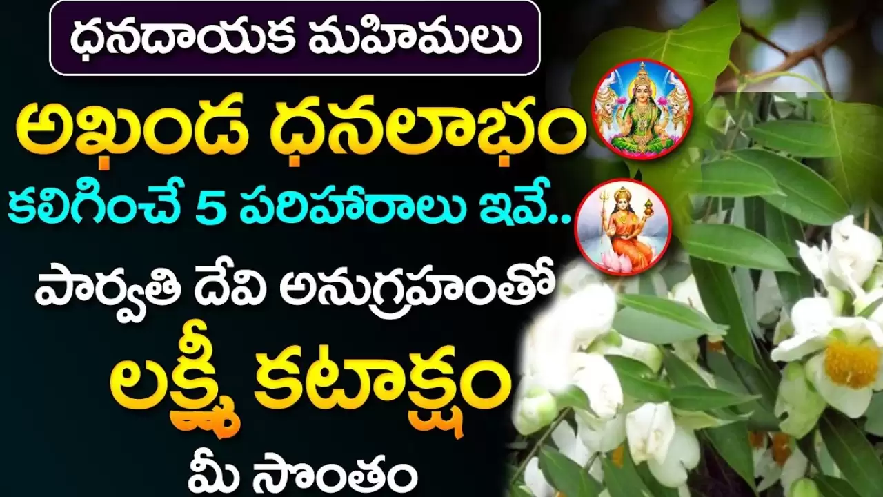 lakshmi kataksham remedies in telugu